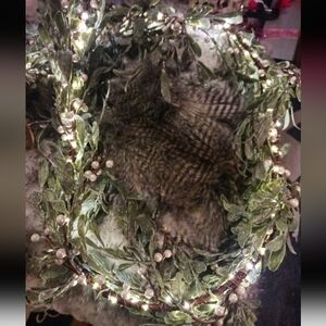 Green Leaf and Pearl Battery-Operated LED Wreath Garland New Sugared